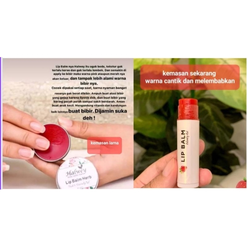 Lipbalm Herbal by Halwey (Tahan lama dan melembabkan bibir)